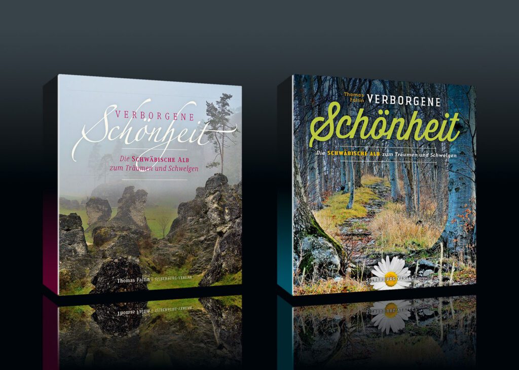 Buchumschlag »Verborgene Schönheit« von Thomas Faltin